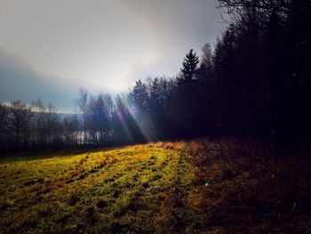 Scenic view of grassy field against sky