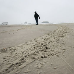 Rear view of man on beach against sky