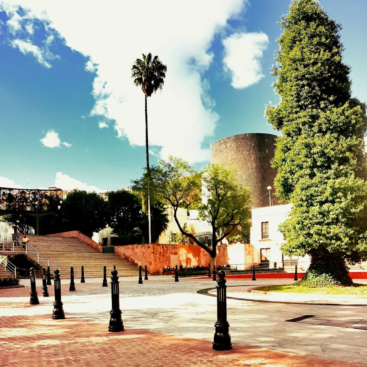 tree, building exterior, built structure, architecture, sky, sunlight, house, street light, growth, palm tree, shadow, street, bench, footpath, empty, outdoors, incidental people, day, cloud - sky, sidewalk