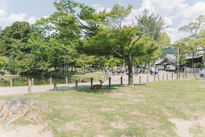 Group of people in park