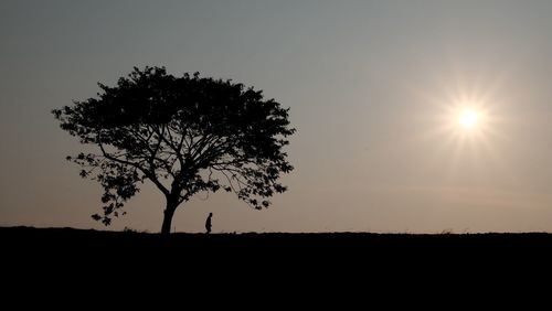Silhouette tree on field against clear sky at sunset