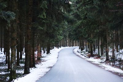 Snow covered road amidst trees