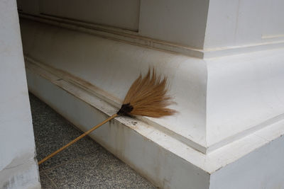 High angle view of feather on floor