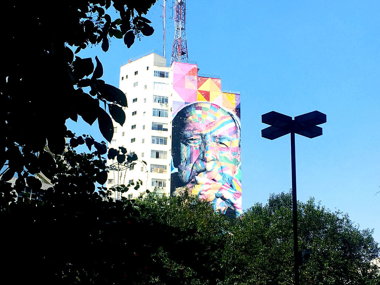 LOW ANGLE VIEW OF TREES AND BUILDINGS AGAINST SKY