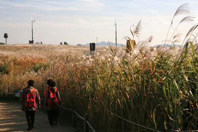 View of field against sky