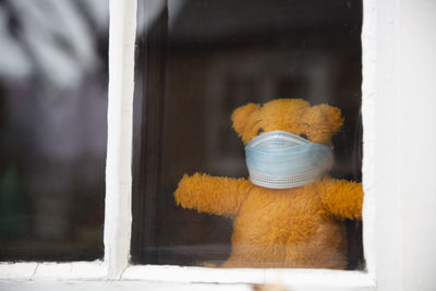 Rear view of woman wearing hat