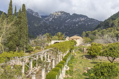 Panoramic view of trees and mountains against sky