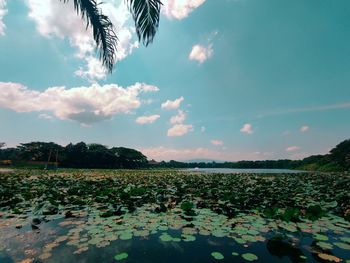 Scenic view of lake against sky