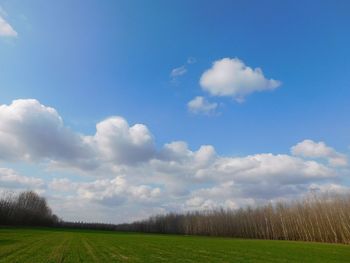 Scenic view of grassy field against cloudy sky