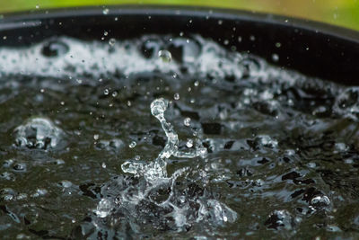 Close-up of water drops on ground