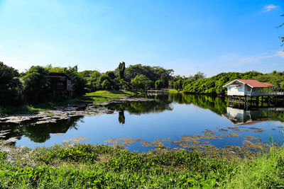 Scenic view of lake amidst trees and buildings against sky