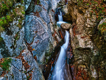 Scenic view of waterfall in forest