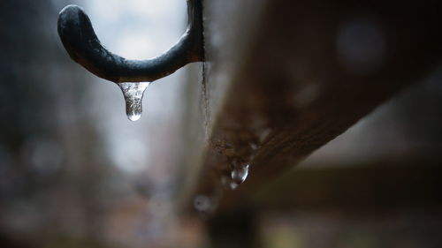 Close-up of icicles against blurred background