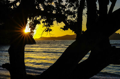 Silhouette tree by sea against sky during sunset