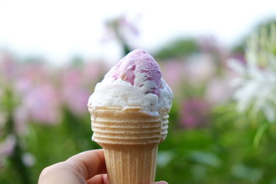 Close-up of hand holding ice cream