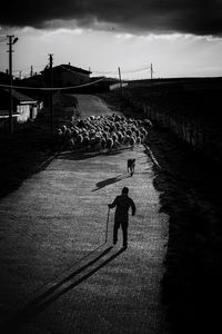 People walking on street