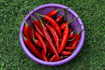 Close-up of red chilies in basket