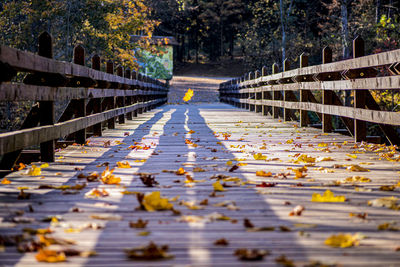 Surface level of leaves on footbridge