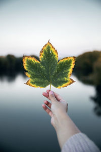 Close-up of hand holding leaf against lake