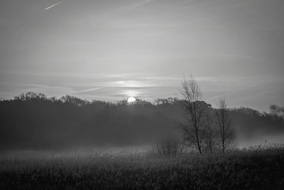 Silhouette trees on field against sky