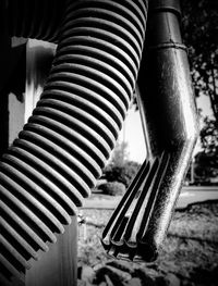 Close-up of cropped object