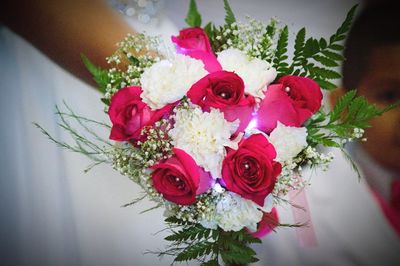 Close-up of pink flowers