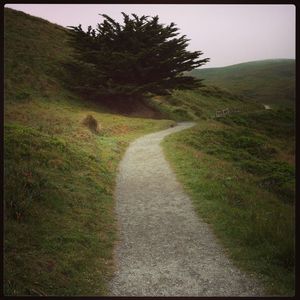 Country road passing through grassy field