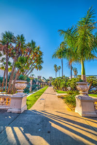 View of palm trees against clear blue sky