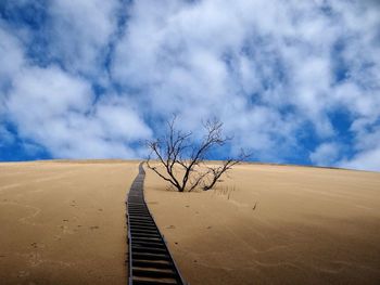 View of desert landscape