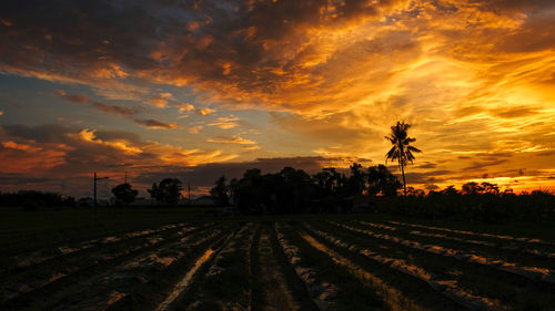 Scenic view of field against sky during sunset