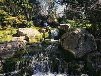 Stream flowing through rocks in forest