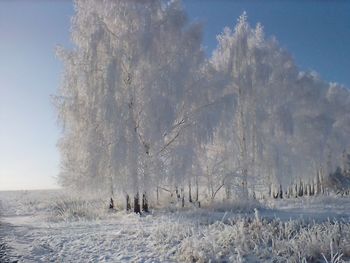 Winter in russia