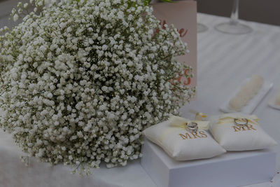 High angle view of white flowering plant on table