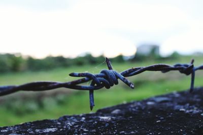 Close-up of barbed wire on fence against sky