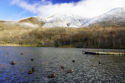 Scenic view of lake against mountains