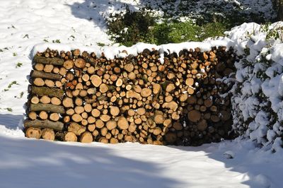 Stack of logs in snow covered forest