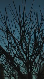 Low angle view of bare tree against sky