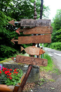 Text on wood against trees in park