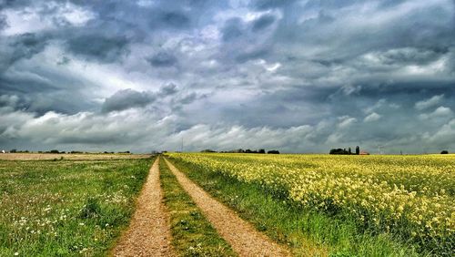 landscape