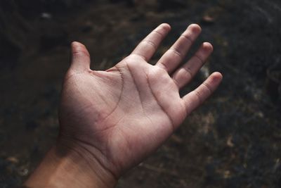 Close-up of cropped hand