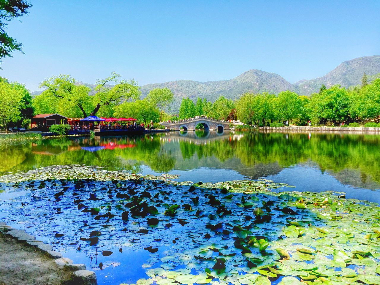 water, reflection, clear sky, lake, mountain, tranquility, tranquil scene, tree, beauty in nature, scenics, blue, nature, standing water, day, idyllic, plant, growth, river, calm, mountain range