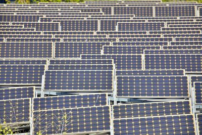 Field of solar panels