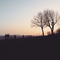 Silhouette of trees at sunset