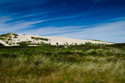 Scenic view of landscape against blue sky