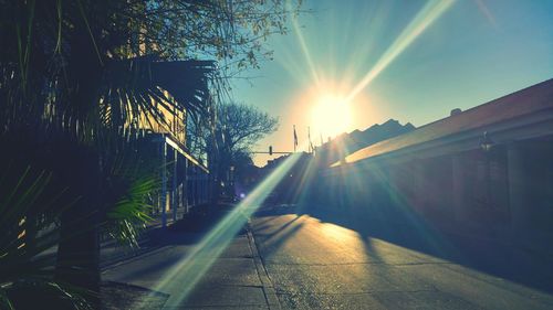 Sun shining through car on sunny day