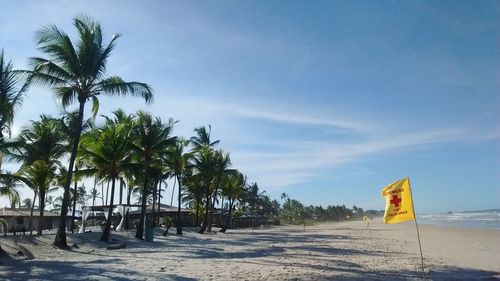 Palm trees on beach against sky