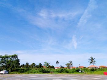 Road by trees on field against blue sky