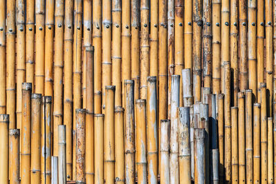 Full frame shot of bamboos