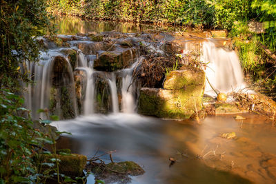 Scenic view of waterfall in forest