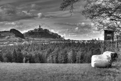 Trees on field against sky